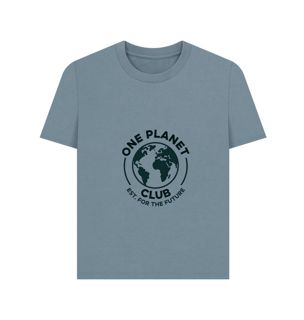 Stone Blue Printed T-shirt Front