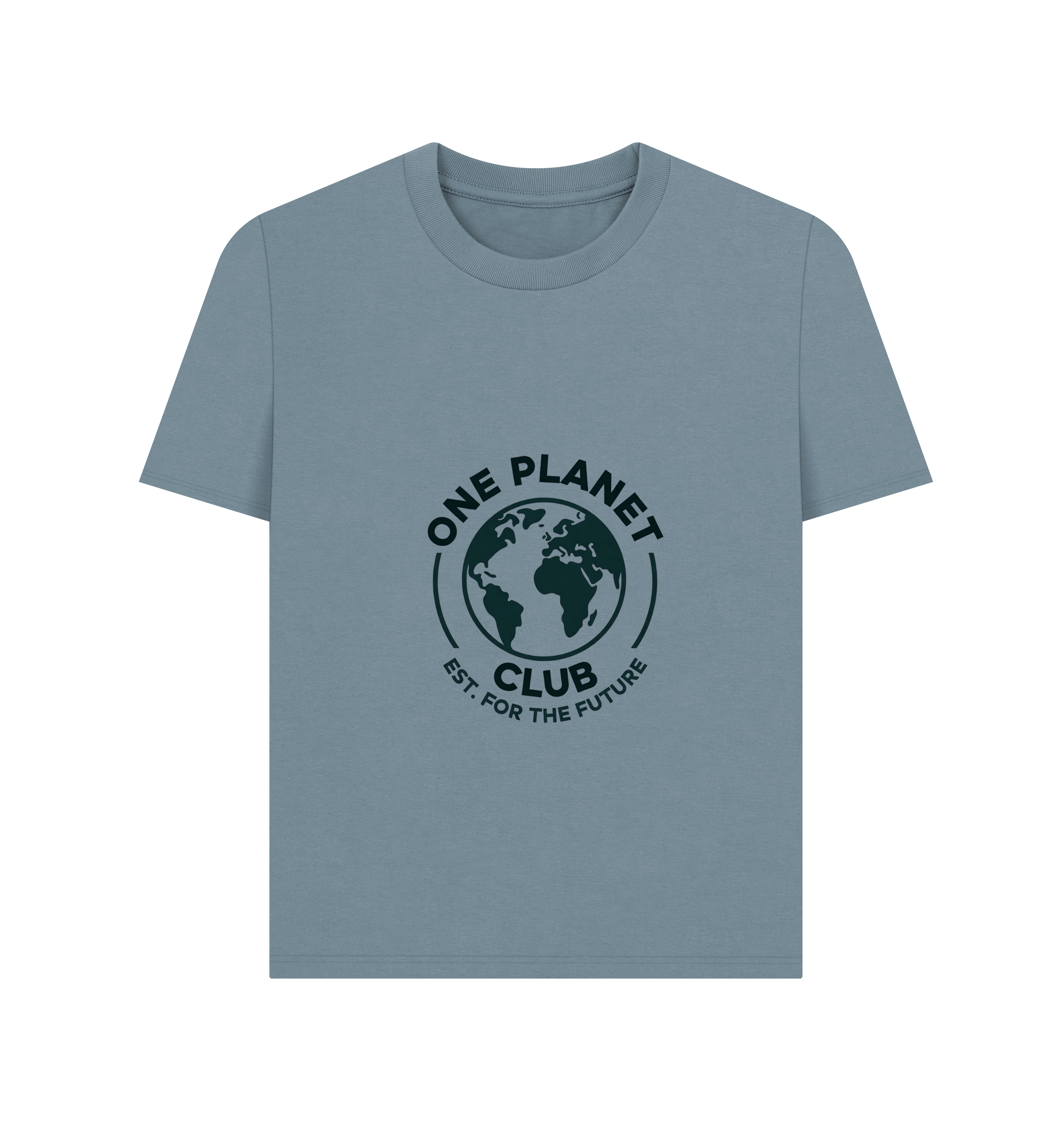 Stone Blue Printed T-shirt Front